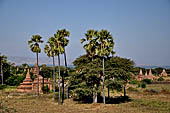 Bagan Myanmar. Cluster of red brick temples near Min myaw yaza  